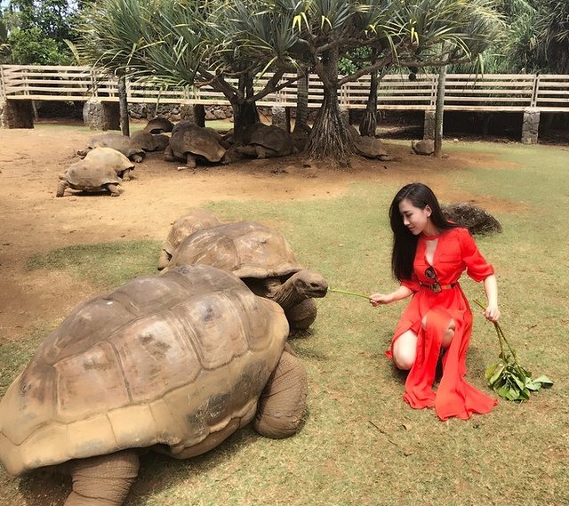 超美媳妇儿与你逃之夭夭大头强小蛮夭毛里求斯蜜月盛典~