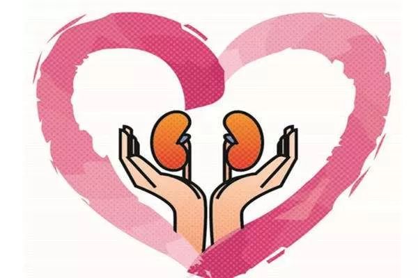 世界肾脏日,世界肾脏日中医治疗有特色