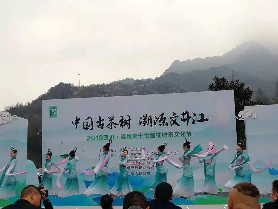 崇州自然赏花美景,崇州青山绿水