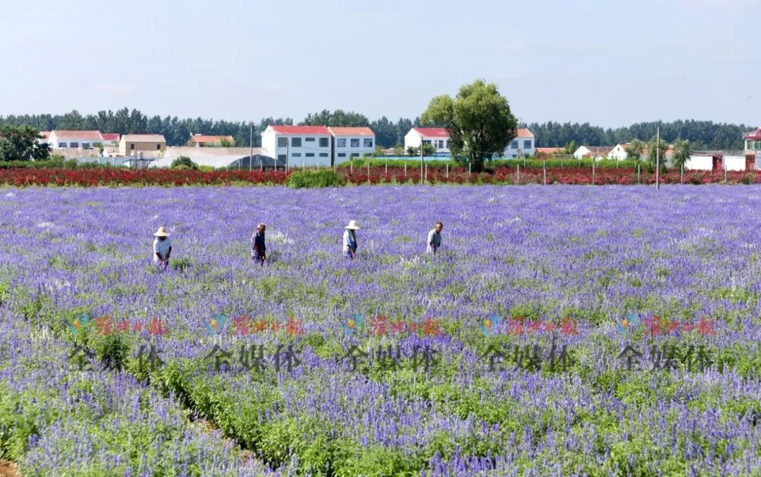 淮北市最值得去的旅游景点,淮北旅游胜地
