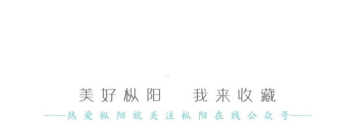 赞！枞阳这项产品获省级金奖