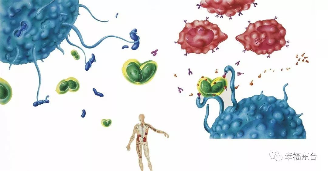 这个病进入高发期家长千万要注意,这种病进入高发期家长们千万警惕