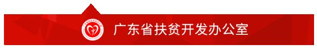 厉害的广东人,公务员选派驻村第一书记