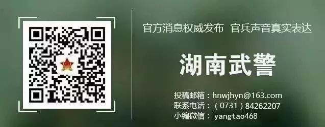 见证使命十一书直播,晨语初心