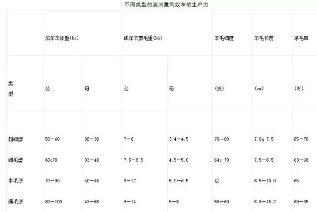 羊品种视频大全,福克羊品种大全