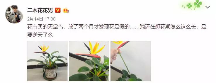 三个方法看透所有谎言,三个方法辨别谎言