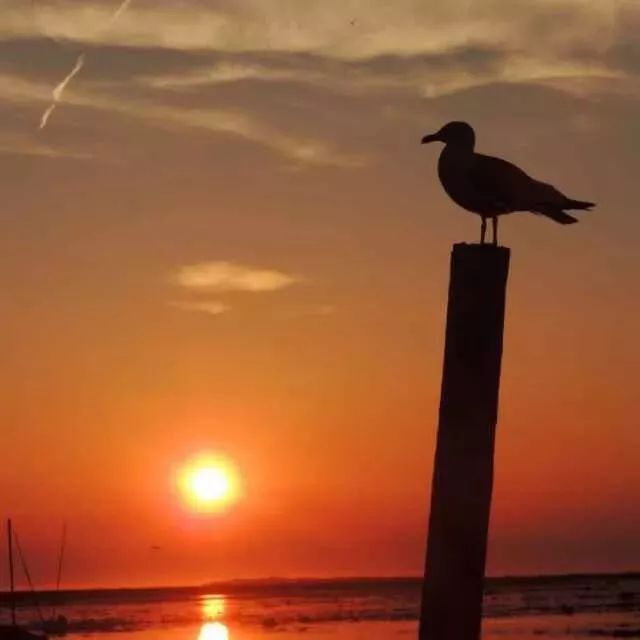 喝茶的人为什么要点香,喝茶用银杯银壶怎么样