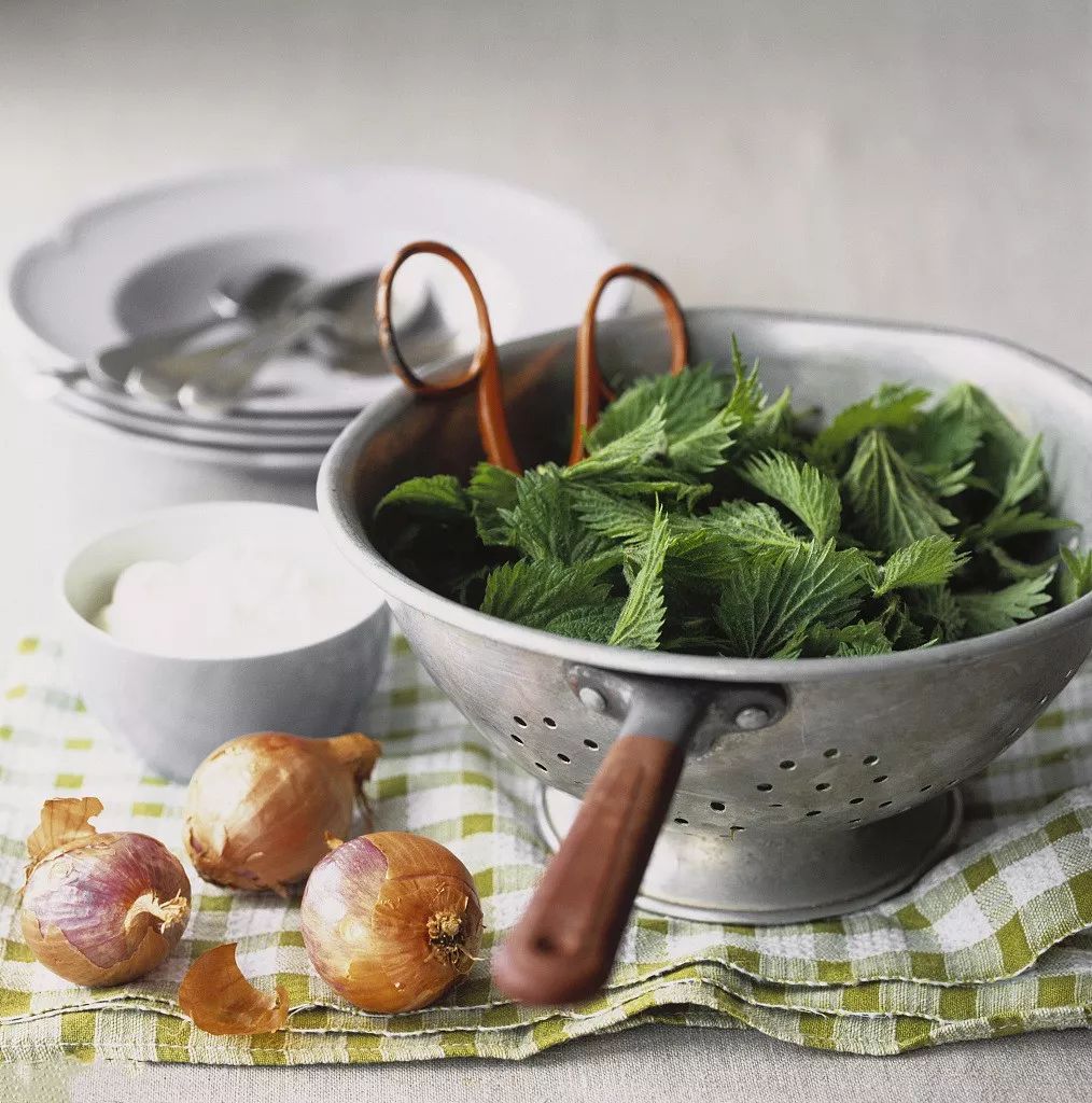 春天十大黄金野菜,中医养生必吃的9种食物