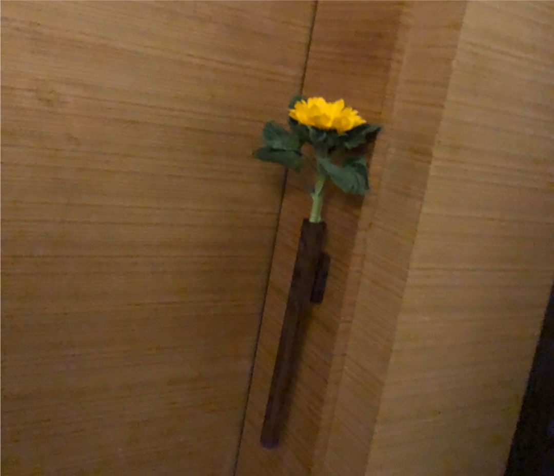 这大概是全世界最无聊的人了