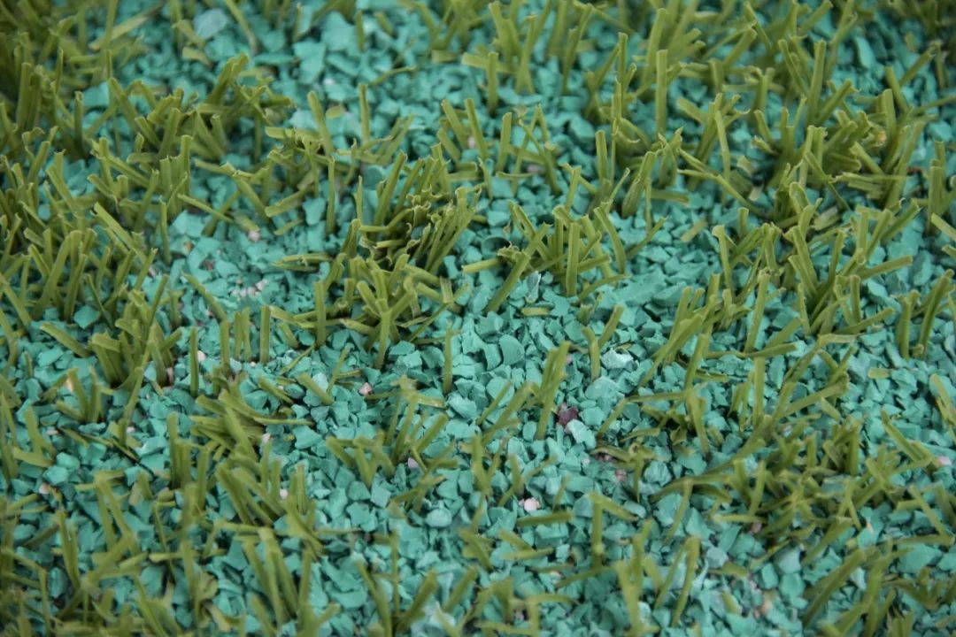 新虹桥中心花园怎么样,上海新虹桥中心花园有跑道吗