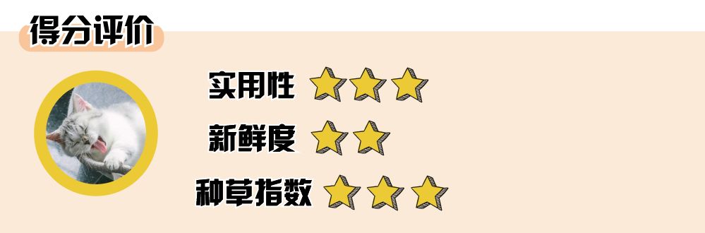 办公室好物推荐夏天必备好物 (办公室好物既实用又高颜值)