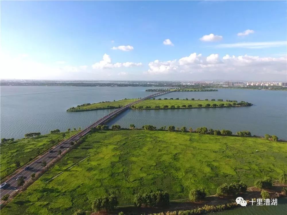 怎样加快绿色转型,如何加快绿色转型升级