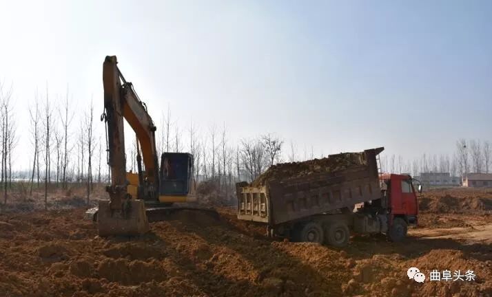 鑱氱劍涓夊啘绉嶆爲,鑱氱劍涓夊啘鑰曞湴