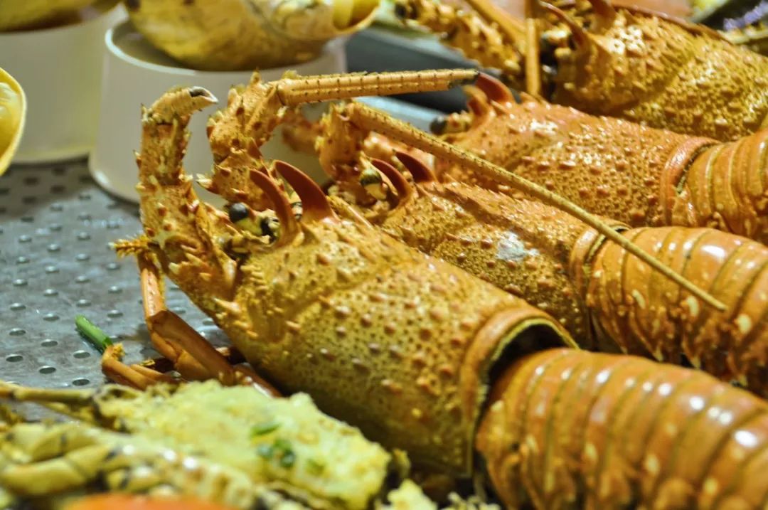 厦门春节旅行团旅游攻略大全,五一假期厦门旅行攻略