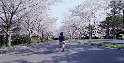 最适合清明旅行的20个地方,清明小长假适合哪里旅游