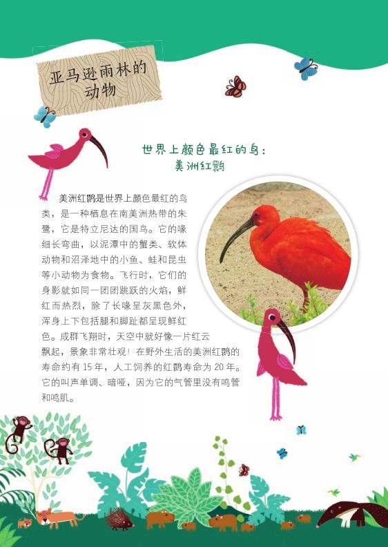 团|这套贴纸涂色书，我专程从中国带到了英国！