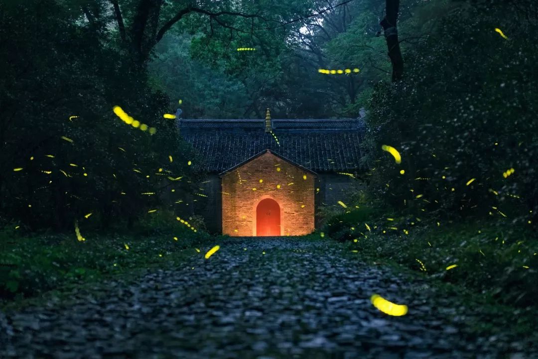 索尼单反相机入门教程,索尼相机入门基础知识视频教程