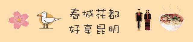 来一场说走就走的旅行来云南看雪,来一趟云南之旅吧