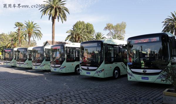 宇通智利新能源公交,214辆宇通电动客车交付智利