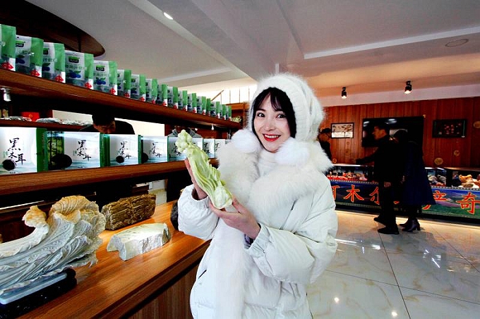 蓝莓小镇在哪里,蓝莓小镇的抖音