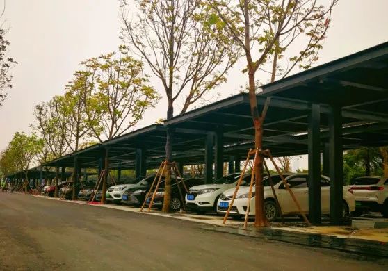 南山人运动又多了个好去处!前海运动公园开启试运营啦~