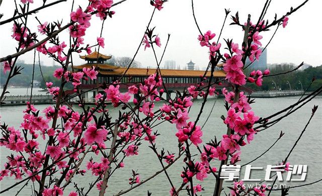 长沙带小孩旅游3-4天攻略最佳线路,长沙六号线小孩游玩攻略