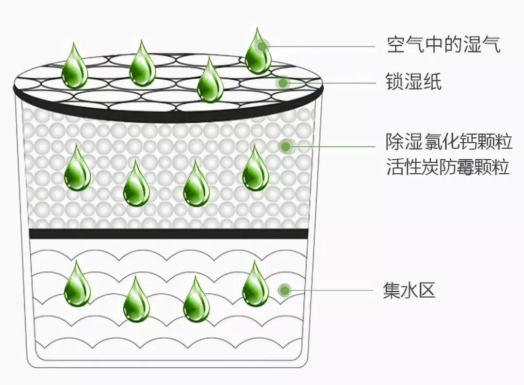 雨季衣物除湿,潮湿天气怎么除湿防霉