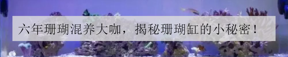 parasites寄生虫,sps虫