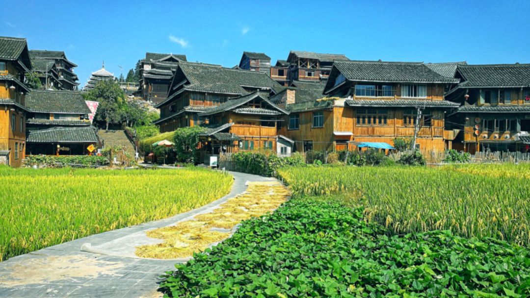 螺蛳粉征服世界,螺蛳粉征服全世界