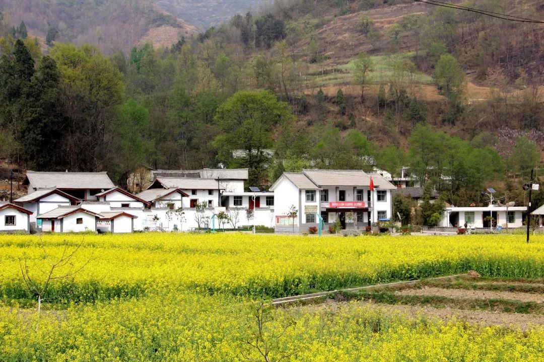 即刻出发旅游怎么样,康县自由行攻略