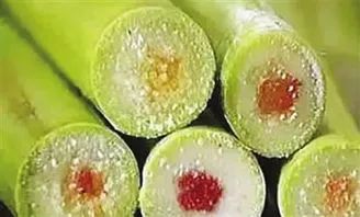 姣旀瘨铔囪繕姣掔殑缇庨,姣旀瘨铔囪繕姣掔殑涓滆タ