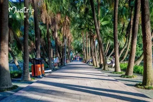 广州适合春游的免费景点,春游广州最适合去的地方