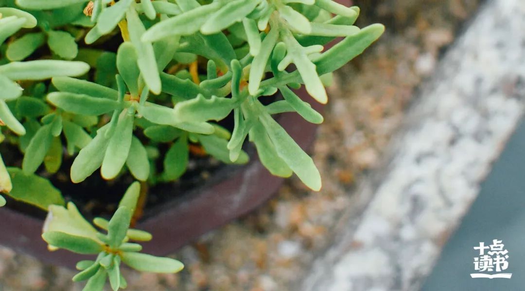 真正会养生的人,会养生的人心态一般都好