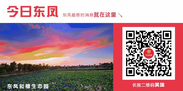 东凤公园最新通知,东凤公园今天最新视频