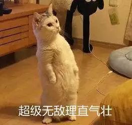 10个月未吸毒毛发检测得出来吗,吸毒检测可以检测多久