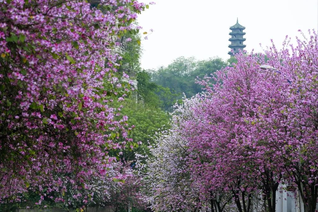 柳江新区商业综合体,柳江古镇购物广场