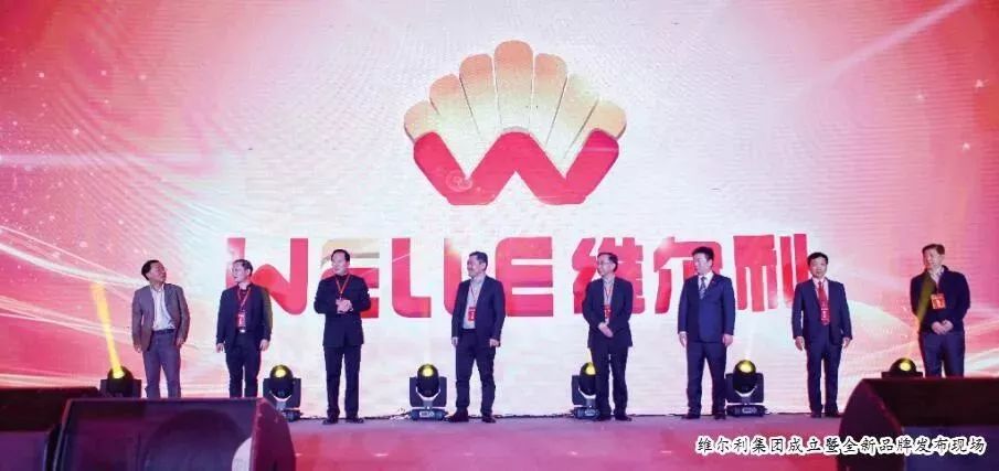 维尔利环保集团商业模式,维尔利环保科技有限公司