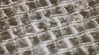 160万只螨虫的克星,4000多条螨虫