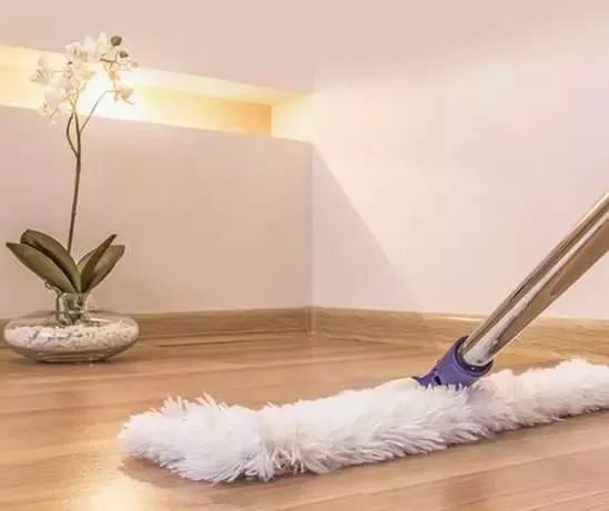 洗衣粉加肥皂蟑螂怎么消灭最彻底,住一楼怎么除蟑螂蚊虫彻底