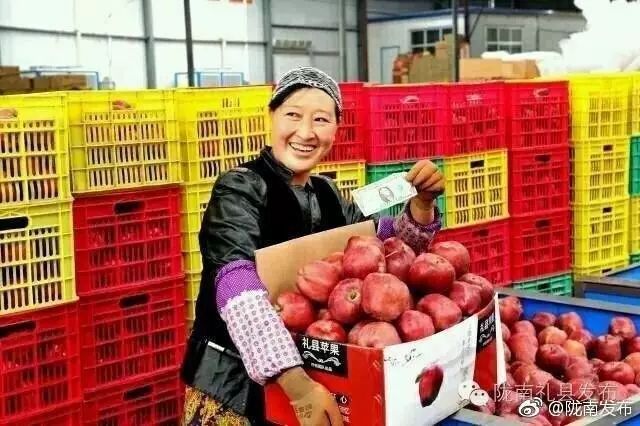 陇南市电商扶贫的成果,陇南电商平台礼县