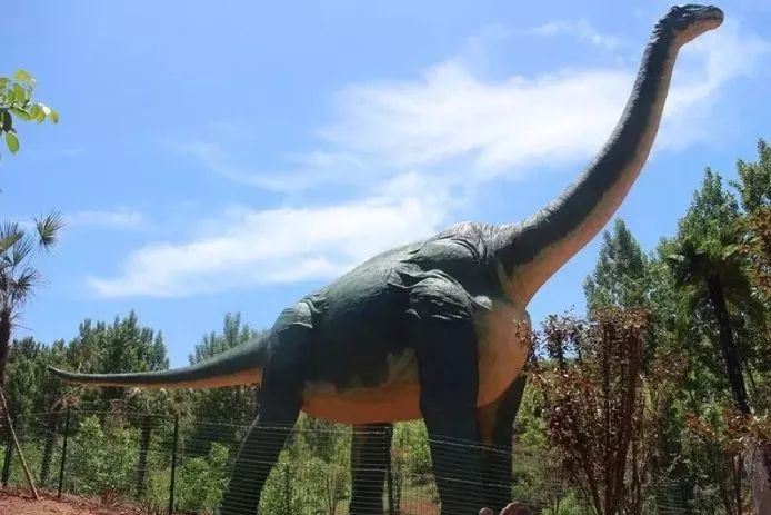 免票或半价！全国几百个景区集体降价，河南有这些…千万别错过！