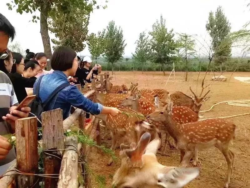 免票或半价！全国几百个景区集体降价，河南有这些…千万别错过！