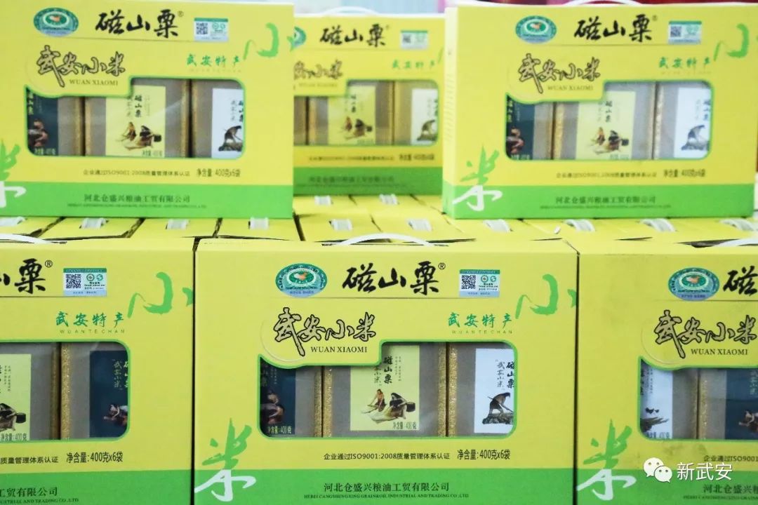 武安谷子,武安种什么农作物好