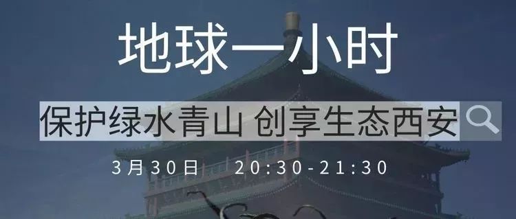 熄灯一小时点亮每一天,熄灯一小时感受黑夜的静谧