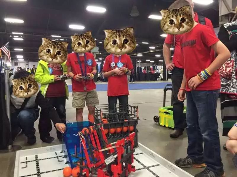 入坑一年花十万,入坑5年