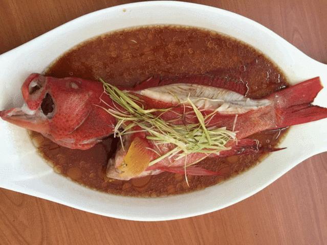 怎么去毛里求斯自由行旅游攻略,毛里求斯环岛路线