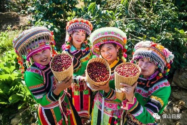 保山最好咖啡豆,保山最贵的咖啡品种