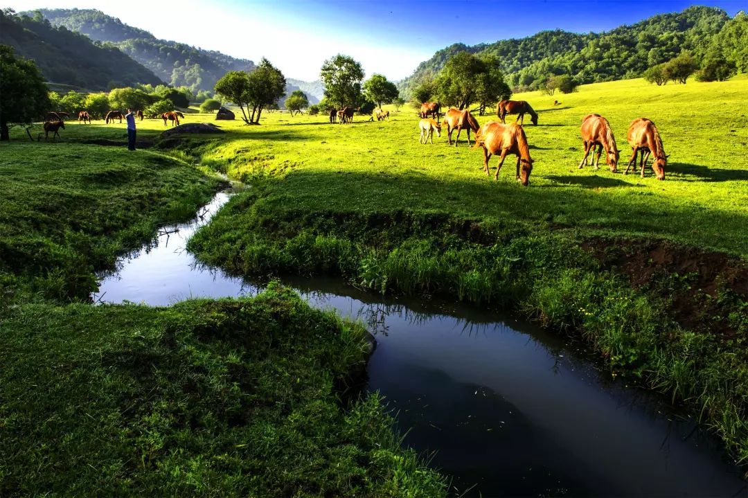 银川到关山草原自驾游攻略,关山草原自驾一日游攻略