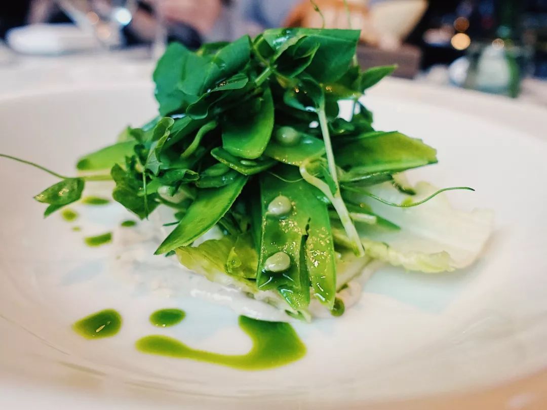 上海露天brunch推荐,上海周末brunch