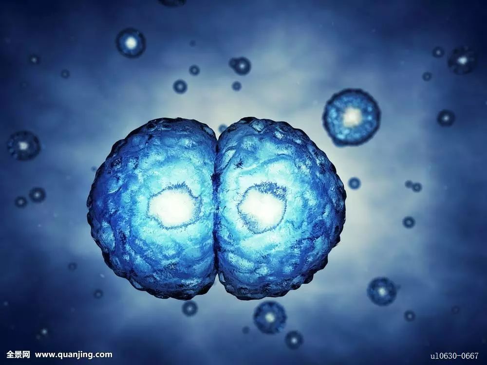 发力大项目,大湾区开始发力